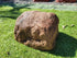 urn for cremated ashes