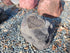 Memorial Rock Urn 1916 Medium Black / Charcoal