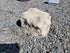 Memorial Rock Urn 2041 Regular Natural Riversand