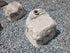 Large Memorial Rock Urn with Vase. 2054 Novelty